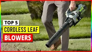 Best Cordless Leaf Blowers in 2024