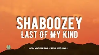 Shaboozey - Last Of My Kind