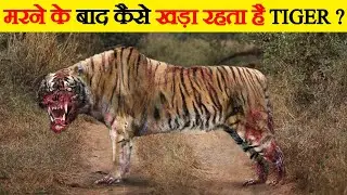 जानवरों के बारे में मजेदार बातें | Amazing Fun Facts About Animals You Didn’t know