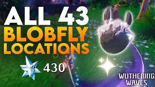 ALL 43 BLOBFLY LOCATIONS (EASY 430 ASTRITE) In Wuthering Waves