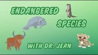 Endangered Species - An alphabet song from Dr. Jean - Check description for free download.