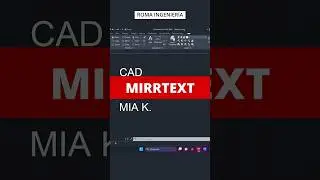 MIRRTEXT 