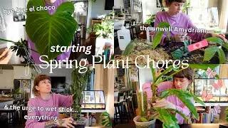 💐 spring houseplant prep! episode 1: chopping my plants ✂️