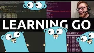 ATTEMPTING to learn GO PROGRAMMING LANGUAGE