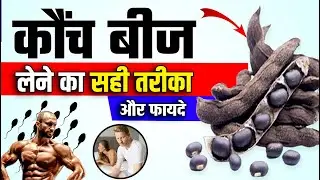 कौंच बीज (Konch Beej) चूर्ण खाने के फायदे | पतंजलि कोंच बीज कब और कैसे ले  #patanjali