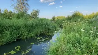 ДА ТУТ море РЫБЫ! Рыбалка на МИКРОРЕЧКЕ в июле.