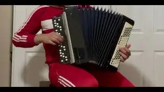 Lipka Zielona - Accordion