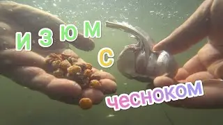 ИЗЮМ ЗАПАРИЛ С ЧЕСНОКОМ И ПОПАЛИ С ДРУГОМ НА БЕШЕНЫЙ КЛЁВ ! Рыбалка на реке ДОН в Липецкой области!