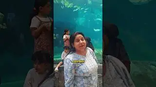 Abu dhabi ka Sea World 🌊or Neetu Mam ki English😍 | @NeetuSinghEnglish #dubai#abudhabi#neetumam