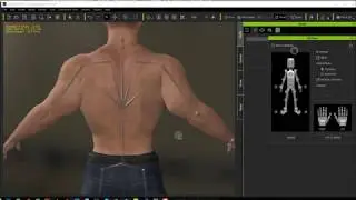 Fixing Poses in CC3 and IClone using ZBrush