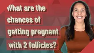 What are the chances of getting pregnant with 2 follicles?