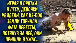 Закапывая секретики в лесопосадке девочки увидели, как из-под земли торчала фата, потянув за нее…