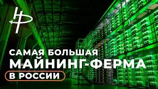 Экскурсия по самой большой майнинг-ферме в России