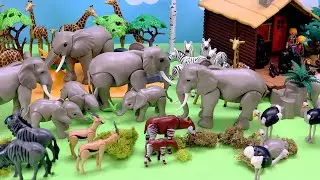 Playmobil Safari Animal Figurines on a Diorama Scenery Set