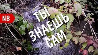 В ЧЁМ СМЫСЛ ЖИЗНИ