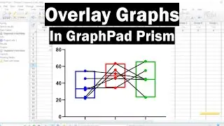 How To Overlay Graphs In GraphPad Prism