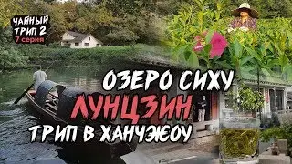 Лунцзин / Колодец Дракона. Зеленый чай  с озера Сиху, трип в Ханчжоу.