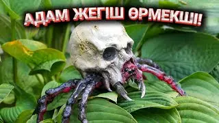 Бұл ең агрессивті адам жейтін Өрмекші 😱 / Пазл, Шакамуро