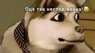 оце так  несподіванка! 😂