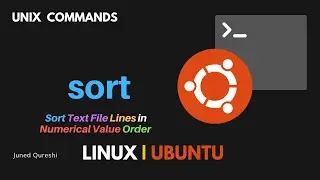 How to Sort Text File Lines in Numerical Order | Numerical Sort | sort Command in Linux