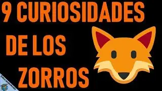 9 Datos curiosos de los Zorros