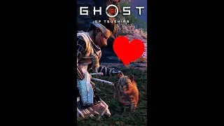 Petting All The Animals in Ghost of Tsushima 