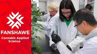 Exploring a Graduate Program in Cannabis Applied Science