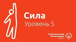 FIT5 — Сила 5 уровень