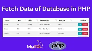 How to Fetch Data from Database in PHP using MySQLi?