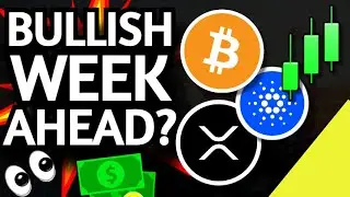 BULLISH CRYPTO WEEK AHEAD? HONDURAS BITCOIN LEGAL TENDER & ALTSEASON PUMP - CARDANO TOKEN BURN