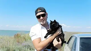 СТЕПАНОВКА-1 TRIP #5 Степановский лиман / Взяли кота на море / Праздник села