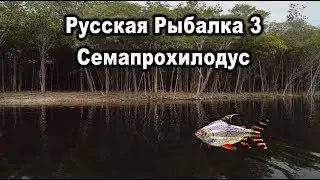 Русская рыбалка 3. Семапрохилодус. Квест 