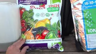 Самое лучшее удобрение для клубники