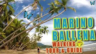 Walking Tour & Guide the Whale Tail - Parque Nacional Marino Ballena in Uvita Costa Rica.