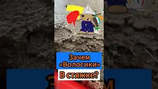 👉Зачем «Волосики» в Стяжке?