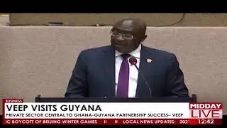 Veep Visits Guyana: Private Sector Central To Ghana- Guyana Partnership Success - Bawumia