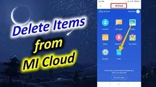 How to Delete Items from MI Cloud