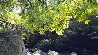 Nature Sound in 4K (Ultra HD) - 奥祖谷二重かずら橋／徳島