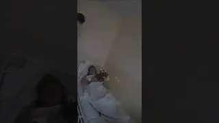 Росгвардеец расплакался и извинился перед женщиной, которую ударил на митинге в живот