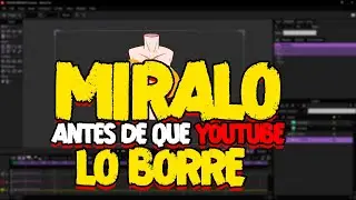 WATCH IT BEFORE YOUTUBE DELETES IT