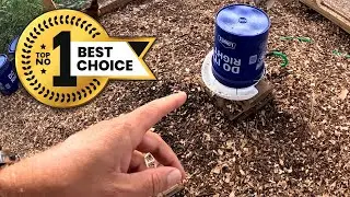 The BEST Chicken Waterer By Far - Test and Review