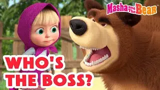 Masha and the Bear 2024 🤔 Who's The Boss? 👧🆚🐻 Best episodes cartoon collection 🎬