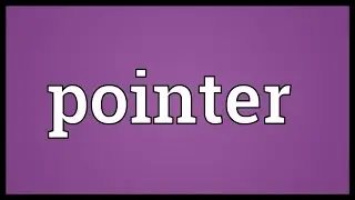 Pointer Meaning