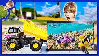 TIDE POOL AQUARIUM WITH CONSTRUCTION TRUCKS AT THE BEACH!