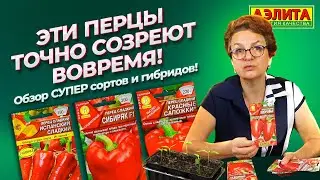 СУПЕР ПЕРЦЫ от Агрофирмы Аэлита! Обзор РАННИХ СОРТОВ, которые НЕ ПОЗДНО ПОСЕЯТЬ СЕЙЧАС!