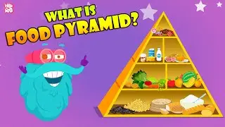 FOOD PYRAMID | How Different Foods Affect Your Body | The Dr Binocs Show | Peekaboo Kidz