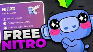 🎁Получите Discord Nitro бесплатно по этой акции! (Снова)🎁