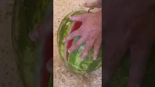 суннатиский арбуз 🍉 🍉 просто шоколад #арбуз