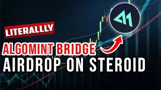 Algorand Bridge Airdrop Tutorial 😲