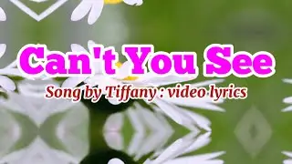 Can’t You See : Tiffany - Lyrics